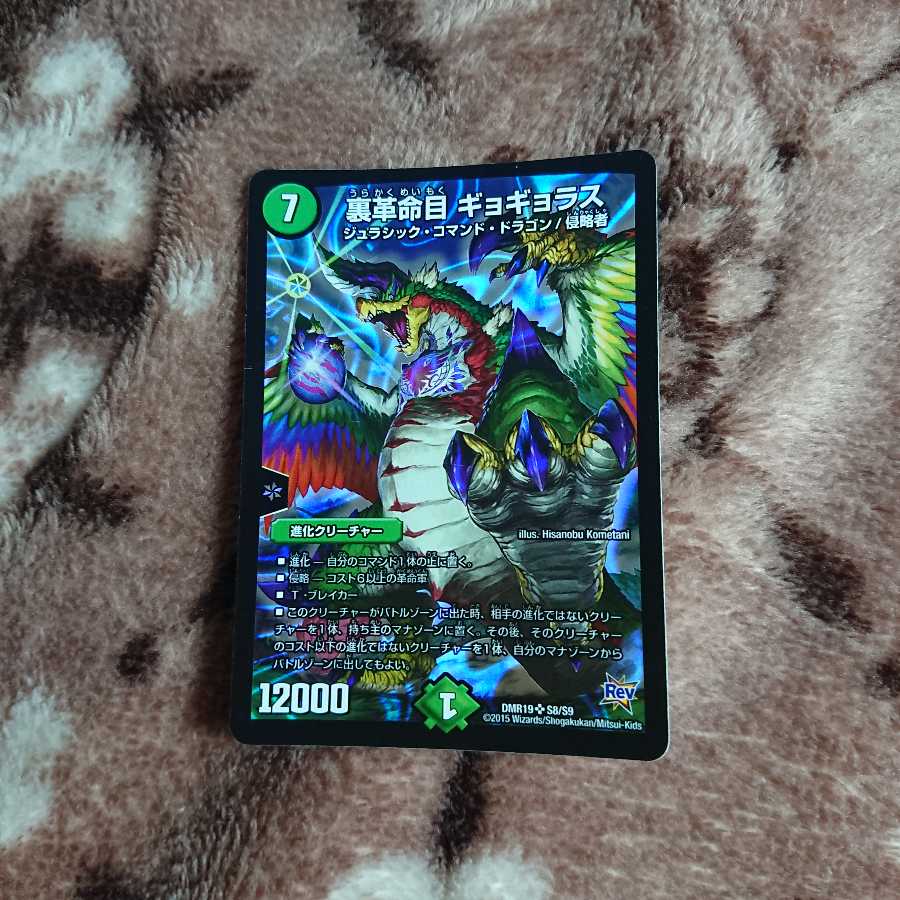 裏革命目 ギョギョラス