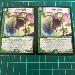 次元の霊峰　2枚　送料無料　DMX23 C 30/60