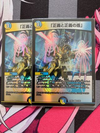 正義と正義の盾 VR 22/84