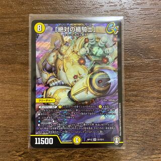 「絶対の楯騎士」