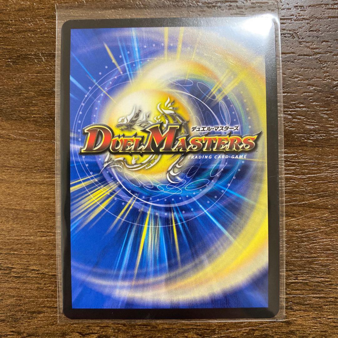 「絶対の楯騎士」