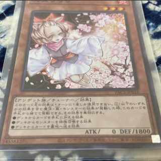 遊戯王　灰流うらら　カード