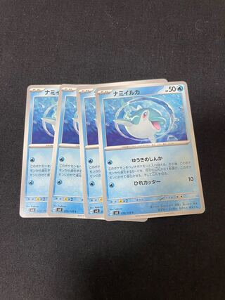 ナミイルカ C 029/108