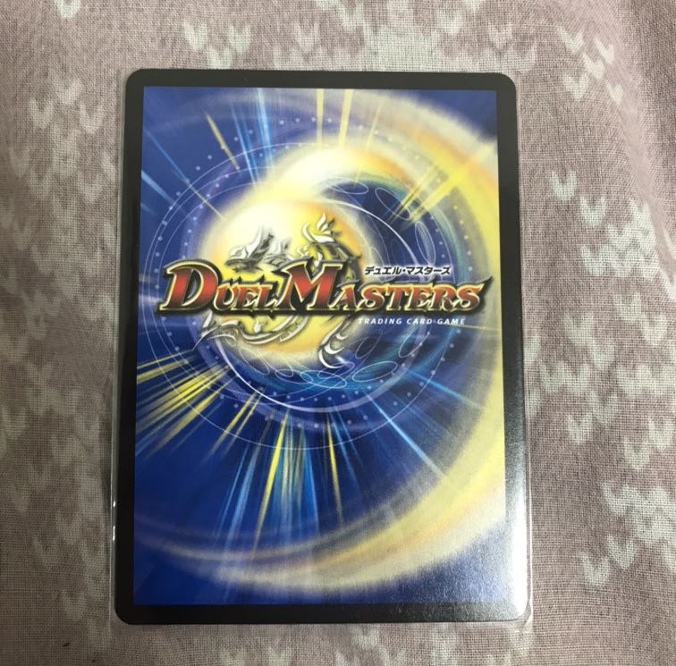 「絶対の楯騎士」