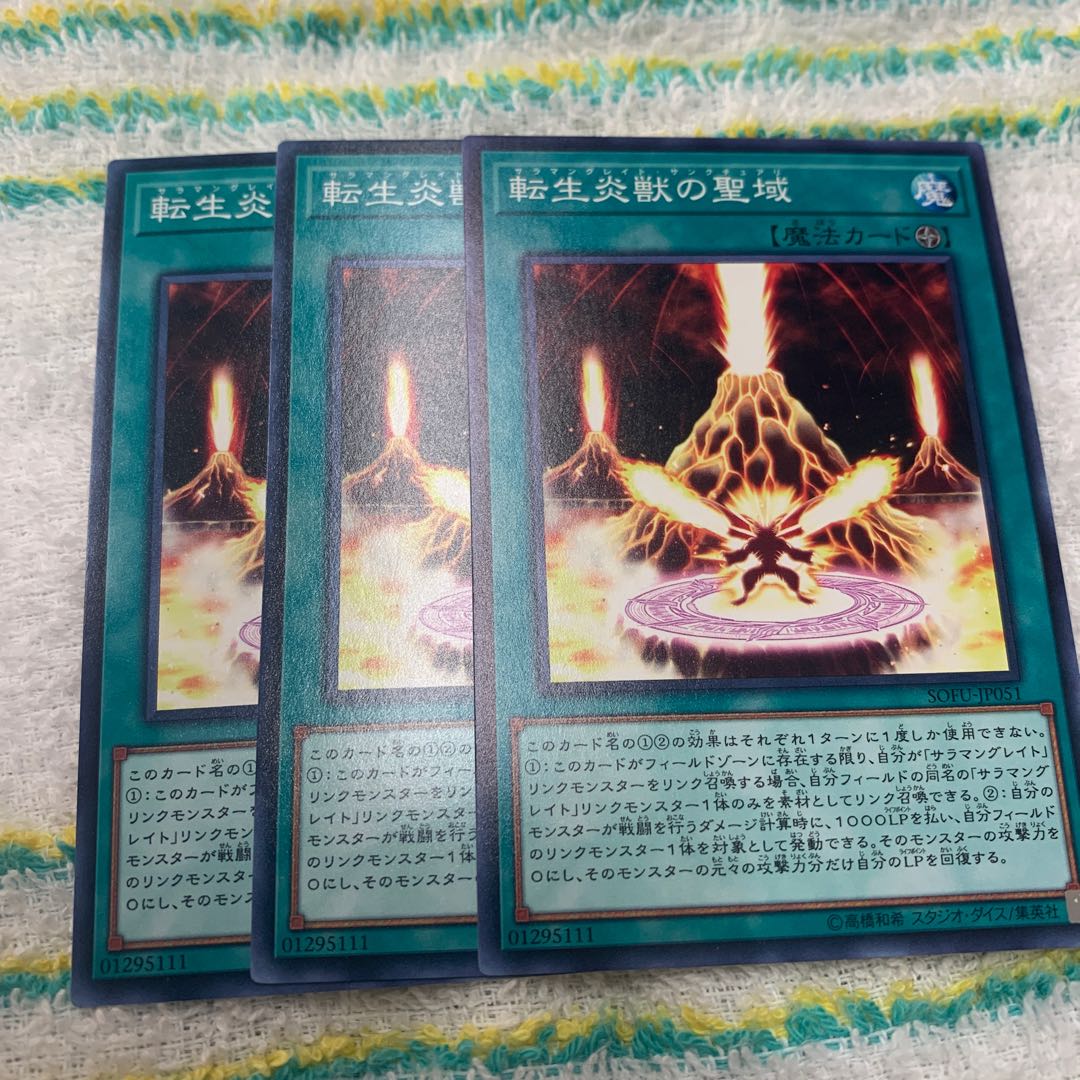 転生炎獣の聖域