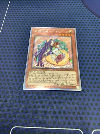 Fairy Princess Kaguya EXSE JP010