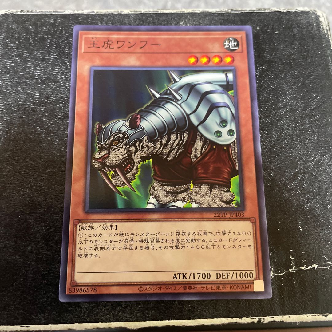 王虎ワンフー ノーマル