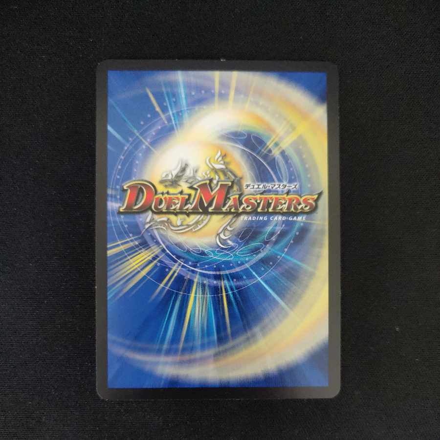 [日曜まで値下] 秩序の意志 R 65/100