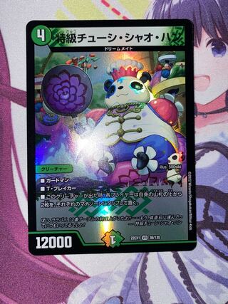 Special Grade Chushi Chao Han VR 36/130