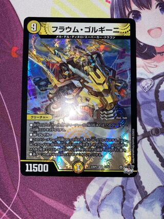 フラウム・ゴルギーニ VR 1/74