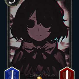 Sカード 完全回避ヒーラー（黒）