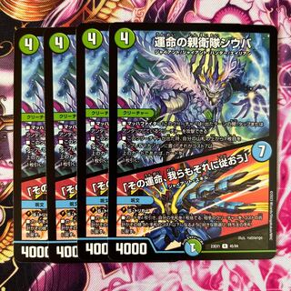 運命の親衛隊シウバ/｢その運命、我らもそれに従おう｣