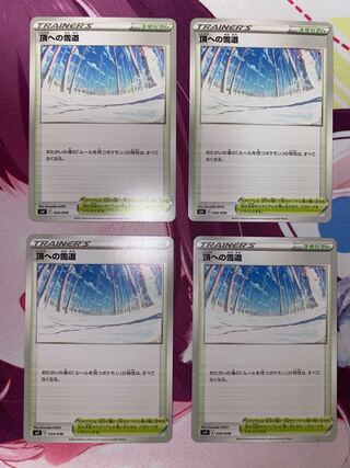 Snowy road to the top 4 ③.