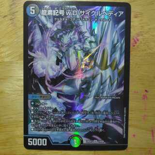 龍素記号wDサイクルペディアSR14/84
