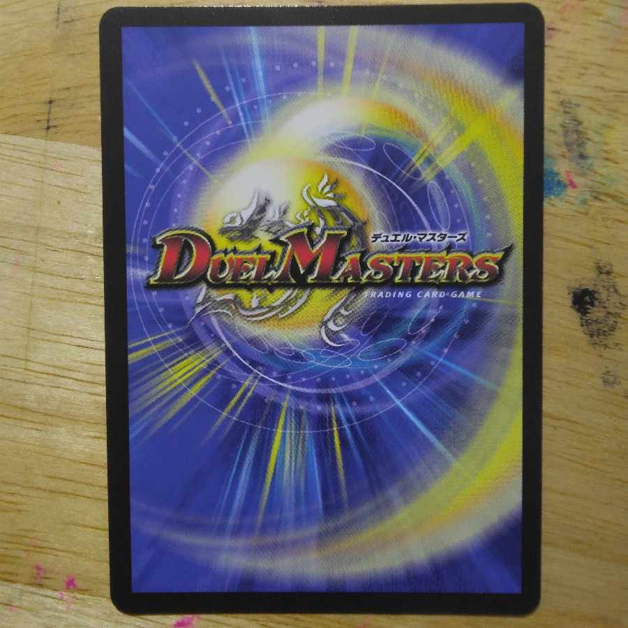 龍素記号wDサイクルペディアSR14/84