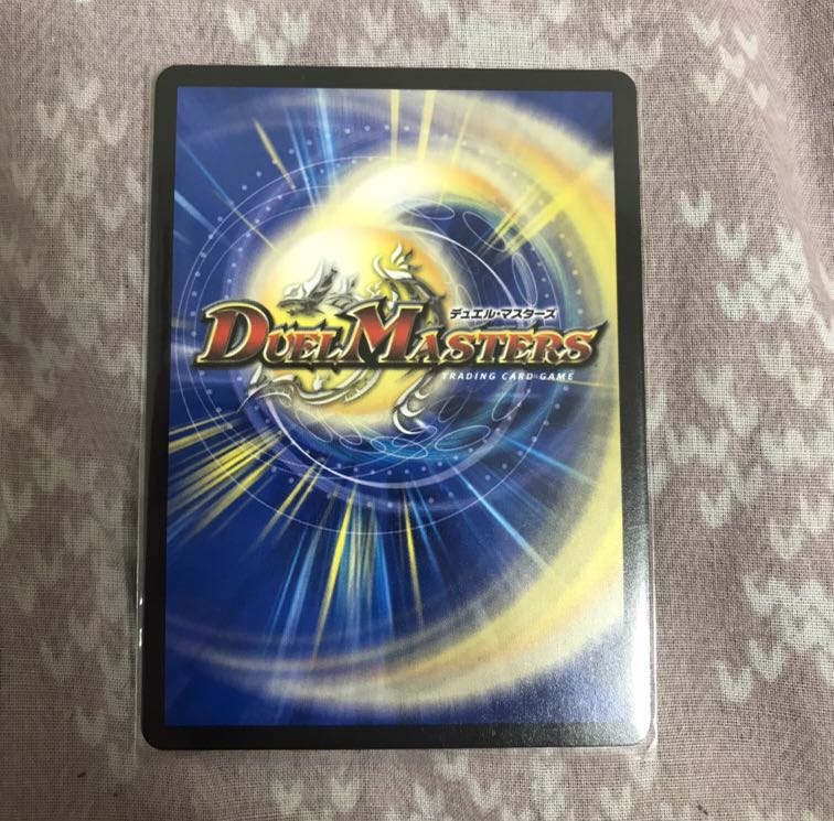 「絶対の楯騎士」