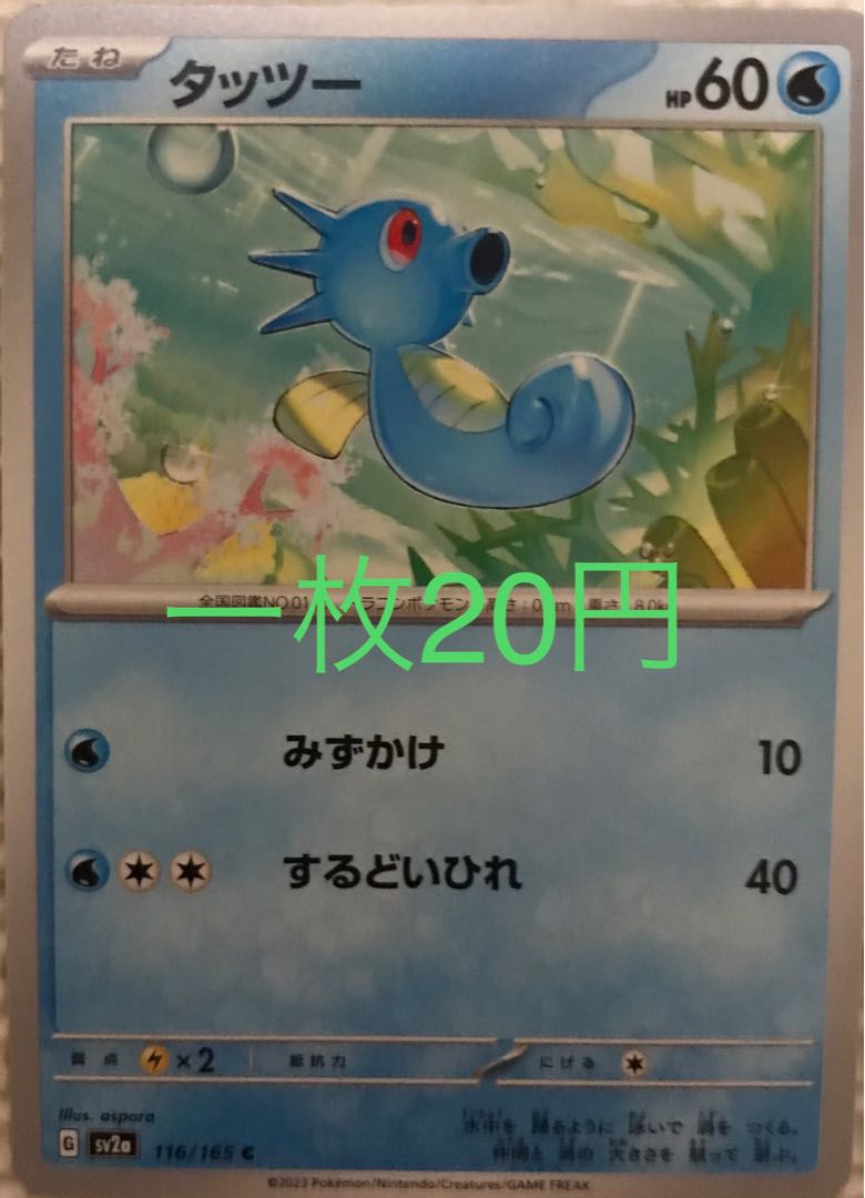 希少レア ポケモンカード トップサン No.116 タッツー 希少レア ポケモンカード トップサン No.116 タッツー 希少レア