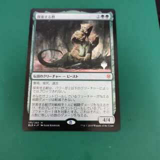 探索する獣 プロモパック foil