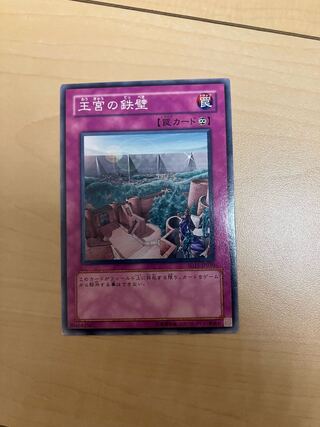 Imperial Iron Wall Normal JP017