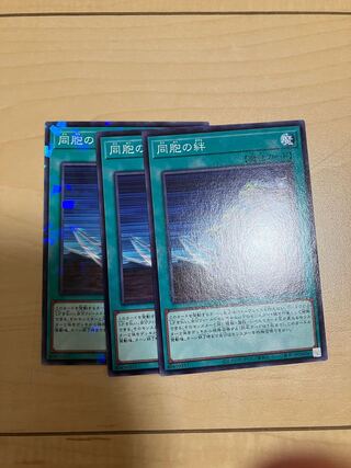 Ties of the Brethren Parallel Normal JP030