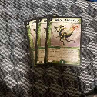 Spirit Rider Hamelin Dahlia