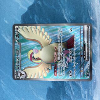 Pocketka Pidgeotex SR