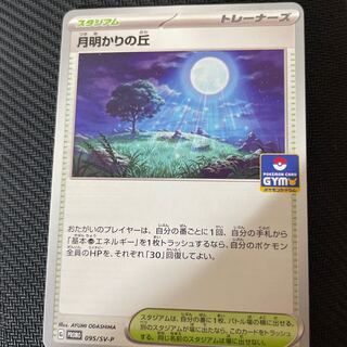 Pokemon Card Moonlight Hill