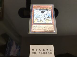 白き霊龍 ノーパラ