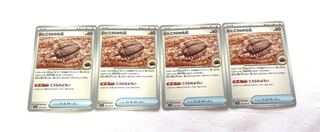 古びたこうらの化石 C 155/165