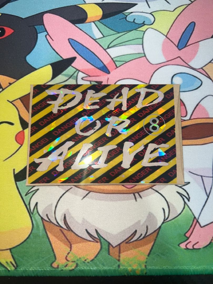 DEAD OR ALIVE ゲリラオリパ⑧ラスト