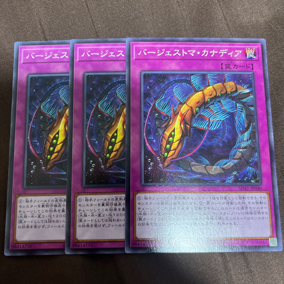 バージェストマ・カナディア ノーマル JP040