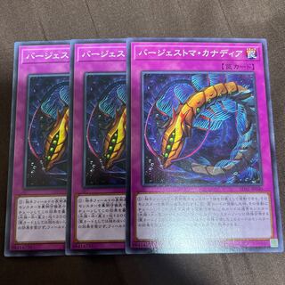 バージェストマ・カナディア ノーマル JP040