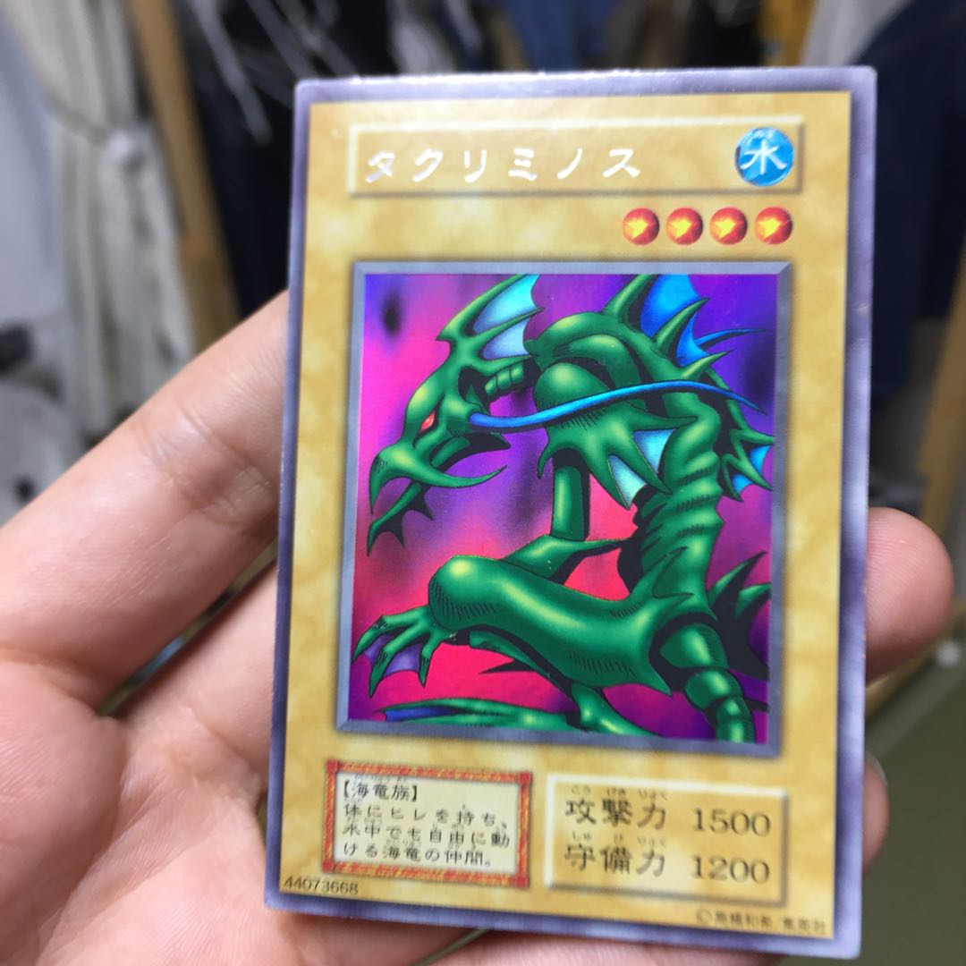 専用品タクリミノスとヤマドラン