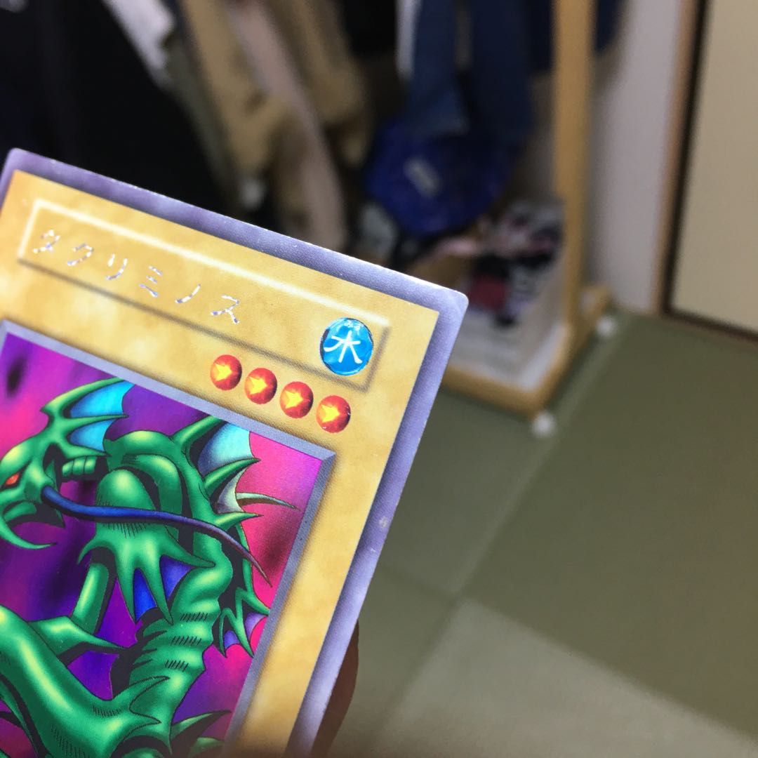 専用品タクリミノスとヤマドラン