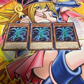 Predaplant Sarraceniant Normal JP001