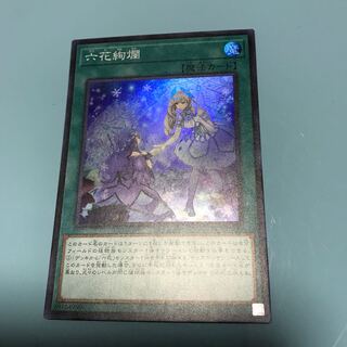 六花絢爛　りっかじゅんらん