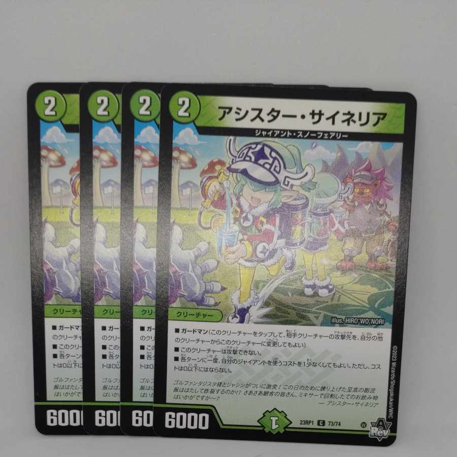 アシスター・サイネリア C 73/74