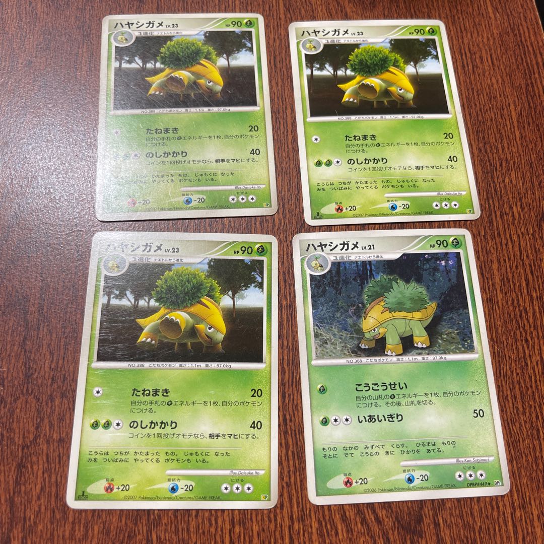 ハヤシガメ Lv.21,Lv.23 セット