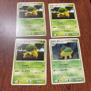 ハヤシガメ  Lv.21,Lv.23 セット