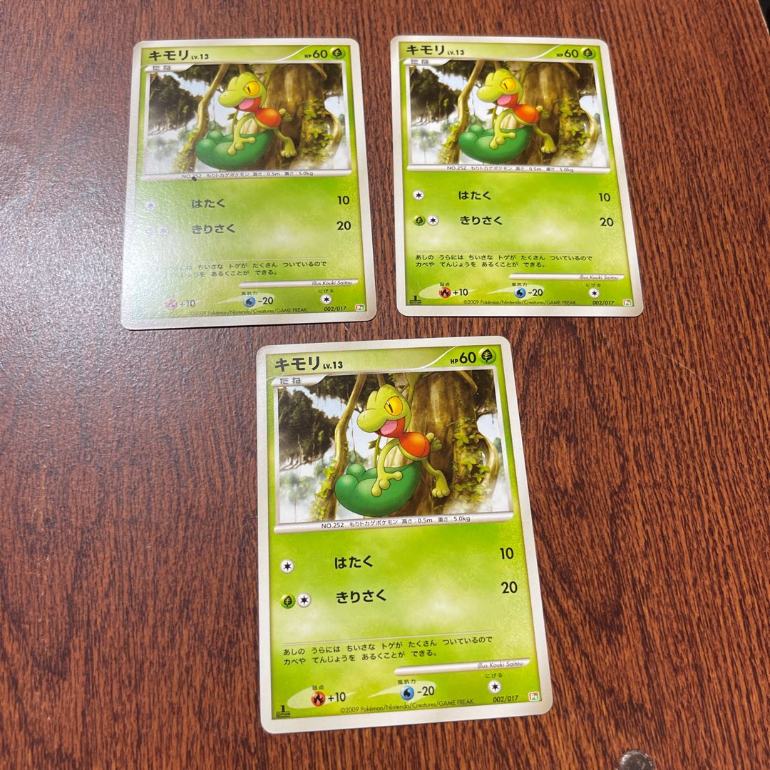 Treecko Lv.13