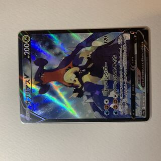 ガブリアスS CSR