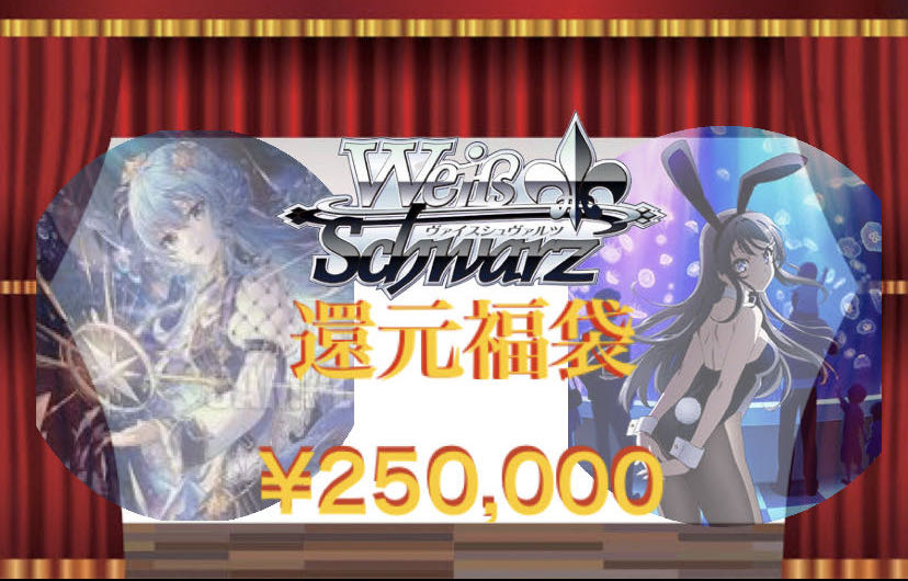 【まことさん専用福袋】 ヴァイスシュバルツ　5万円+25万円