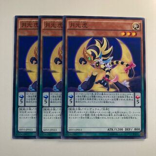 Lunalight Tiger 1537