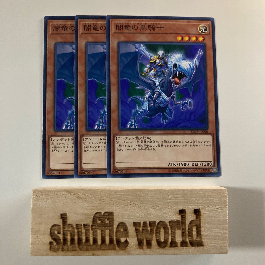 Paladin of the Cursed Dragon 1541