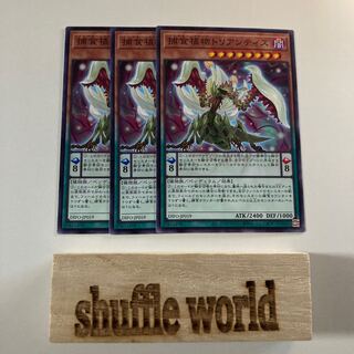 捕食植物トリアンティス 1542