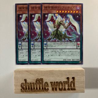 捕食植物トリアンティス 1543