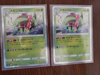 メガニウム2枚そうじゅくハーブ