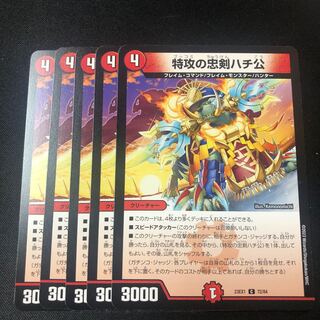 Suicide attack loyal dog Hachiko C 5 pieces