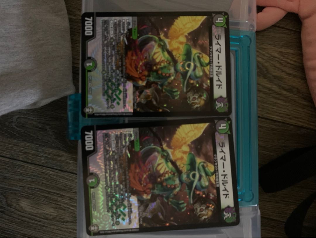 ライマードルイド