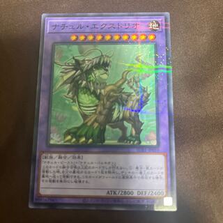 ナチュル・エクストリオ パラレル ノーマル JP059 1枚